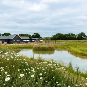 Lost_barn_lake